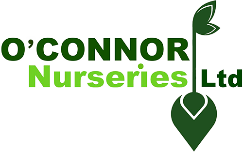 O'Connor Nurseries LTD logo